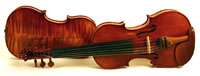 5 String Acoustic Electric Violins